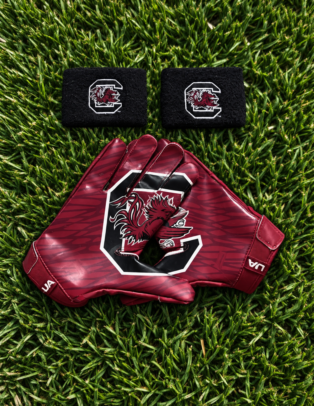 GAMECOCKS