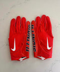ILLINOIS GLOVES