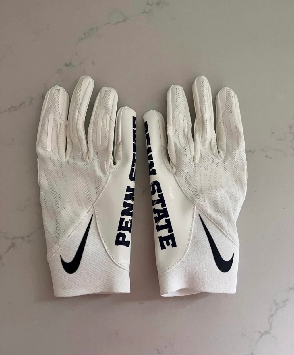 PENN STATE GLOVES