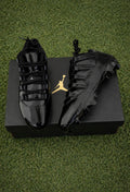 AJ 11
